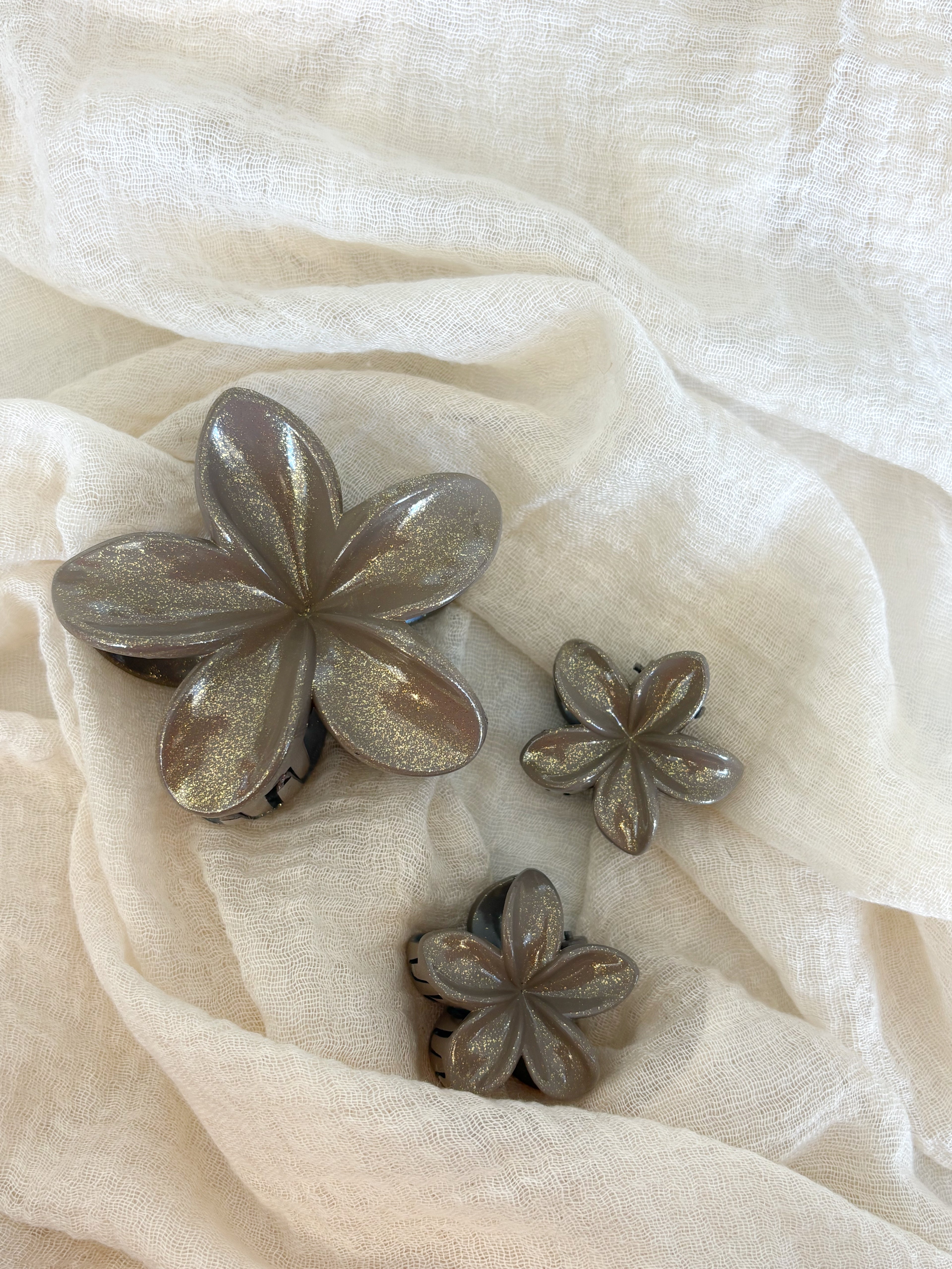 Set pinza + mollettine per capelli Tortora