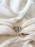 Anello Melissa Polvere